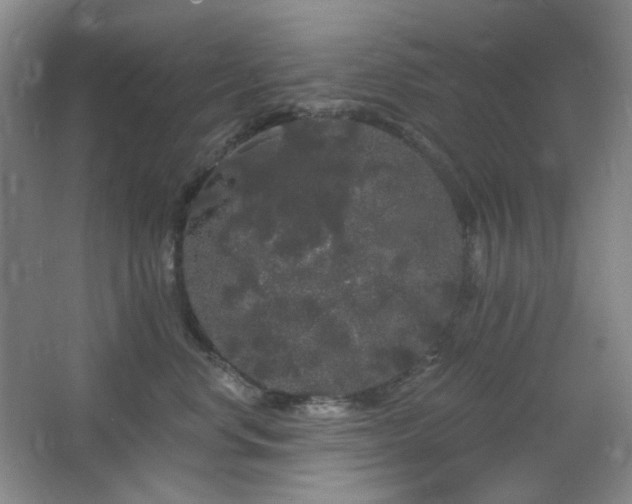 X0000064720668200602101125