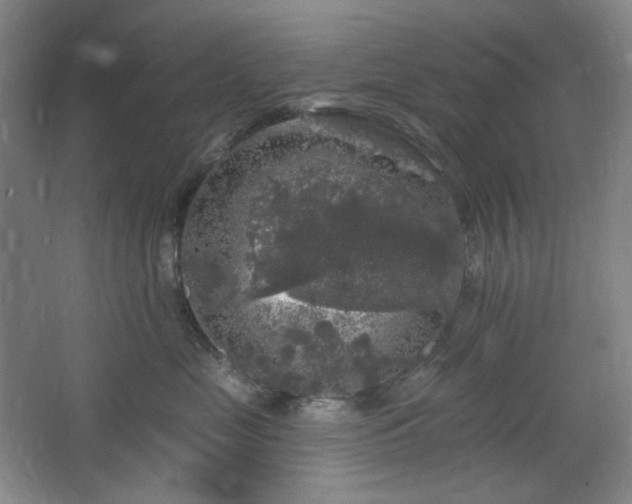 X0000064720669200602101125