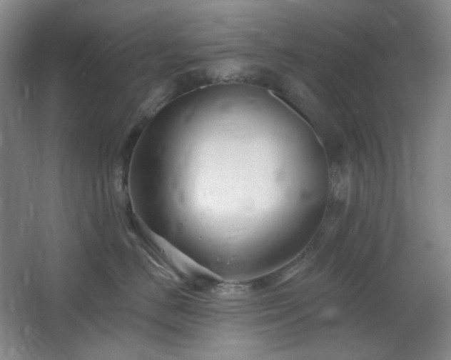 X0000064720670200602101125