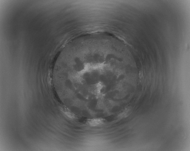 X0000064720671200602101125