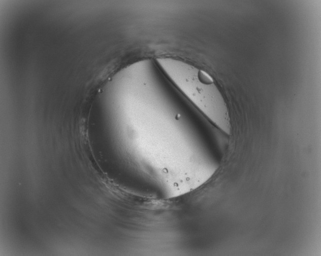 X0000064720672200602101125