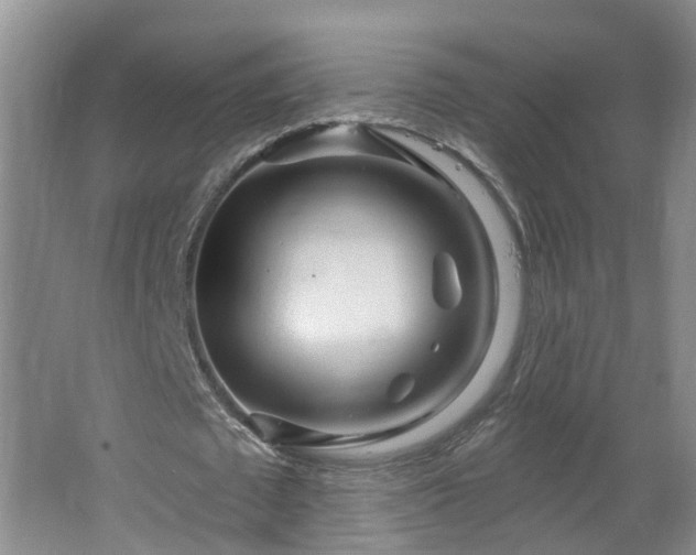 X0000064720673200602101124