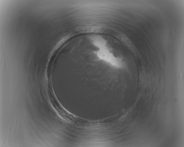 X0000064720674200602101124