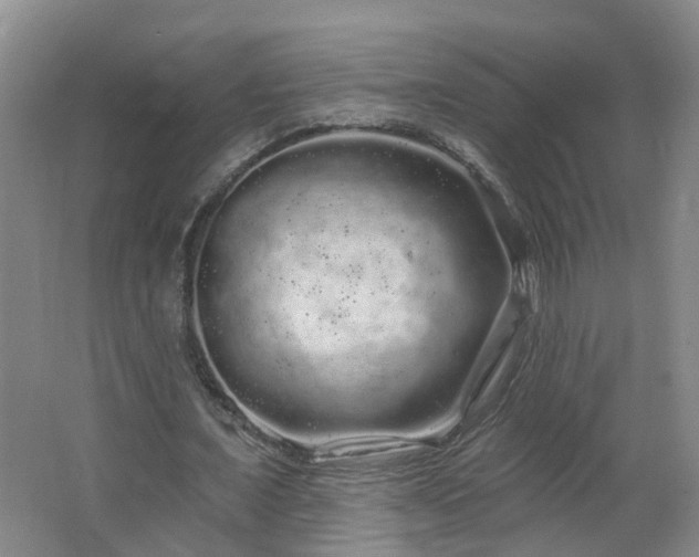 X0000064720675200602101124