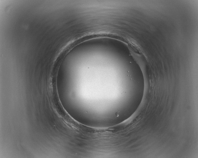 X0000064720676200602101124