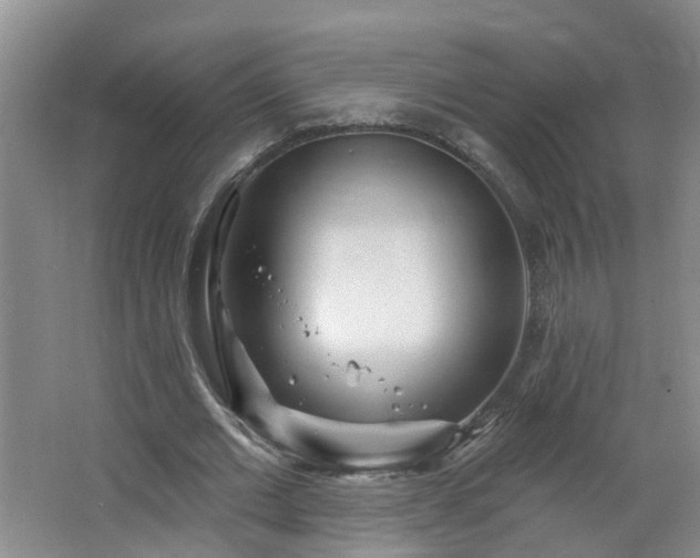 X0000064720677200602101124