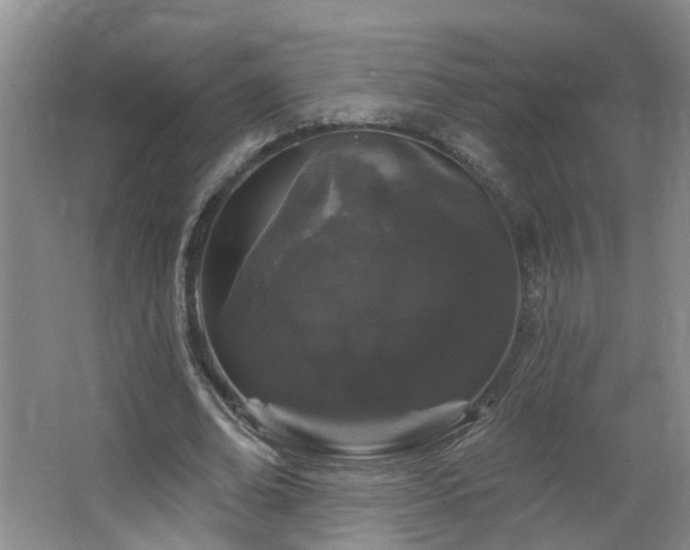 X0000064720678200602101124