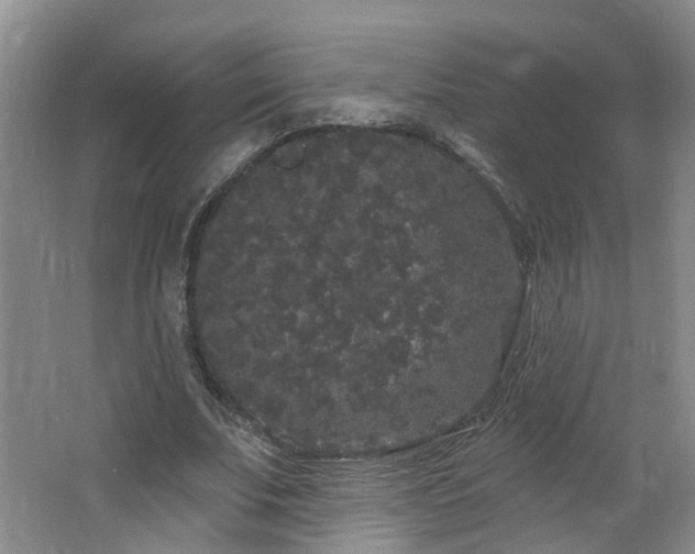 X0000064720679200602101124