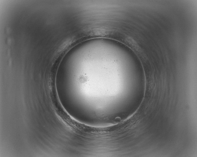 X0000064720683200602101124