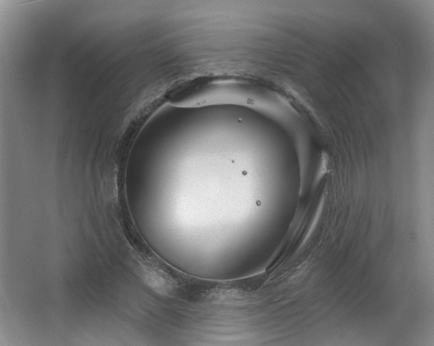 X0000064720685200602101124