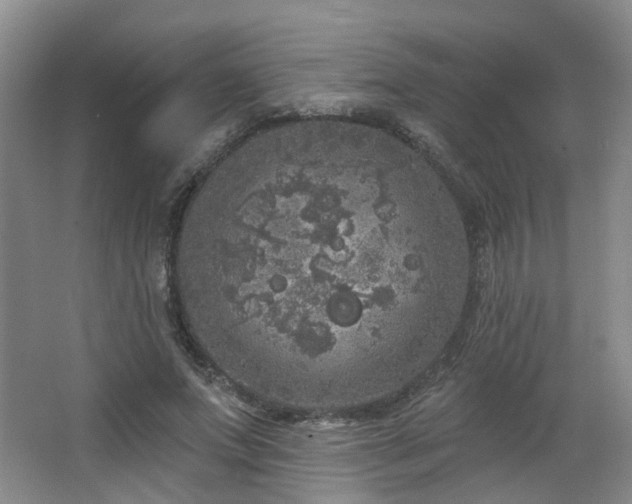 X0000064720687200602101124