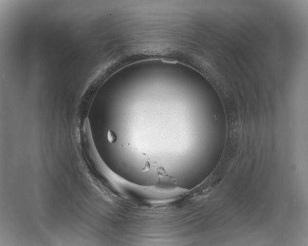 X0000064720688200602101124