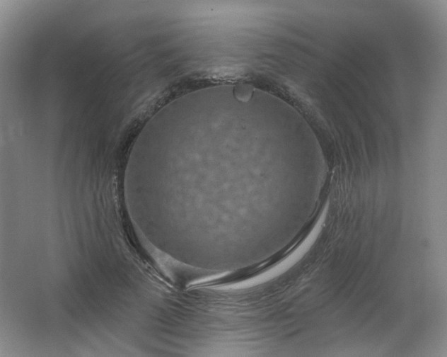 X0000064720689200602101124