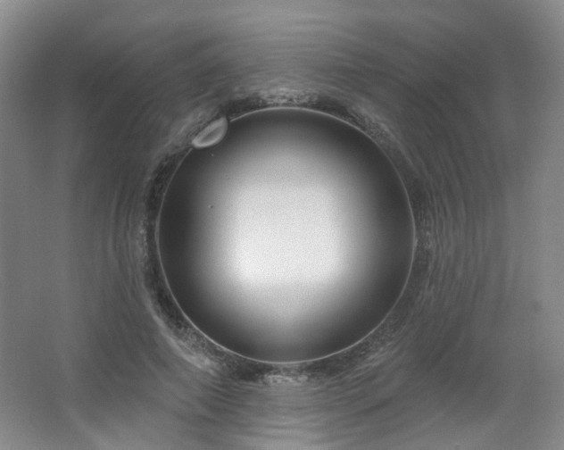 X0000064720690200602101124