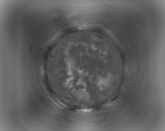 X0000064720691200602101124