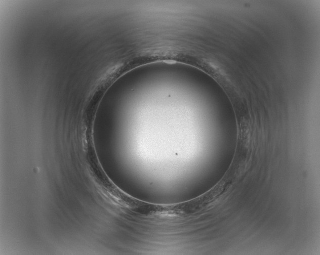 X0000064720692200602101124