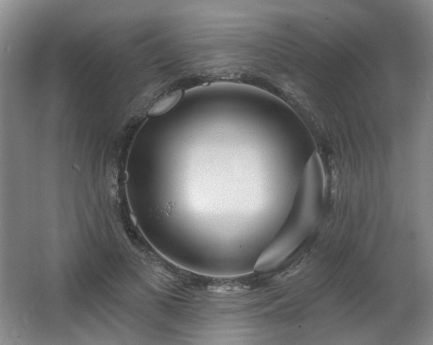 X0000064720693200602101124