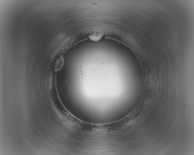 X0000064720694200602101124