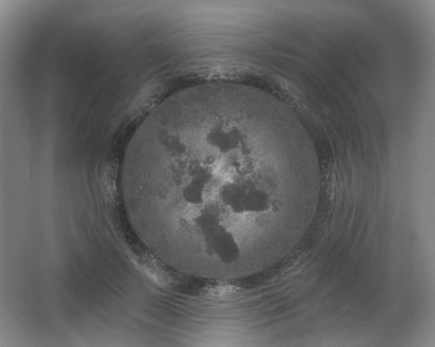 X0000064720695200602101124