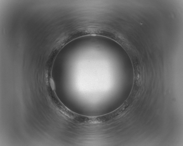 X0000064720696200602101124