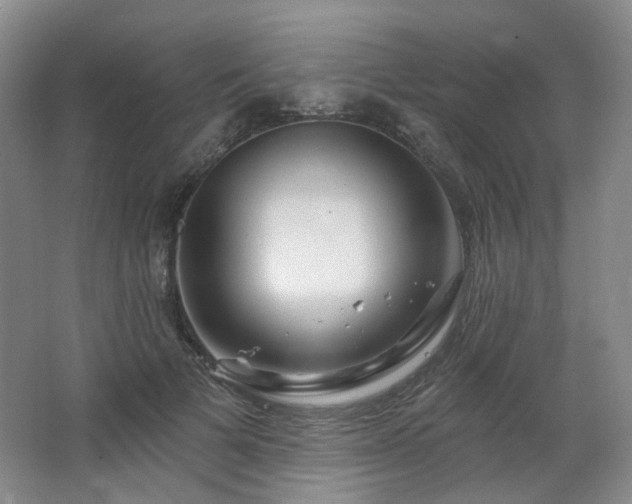 X0000064720697200602101124