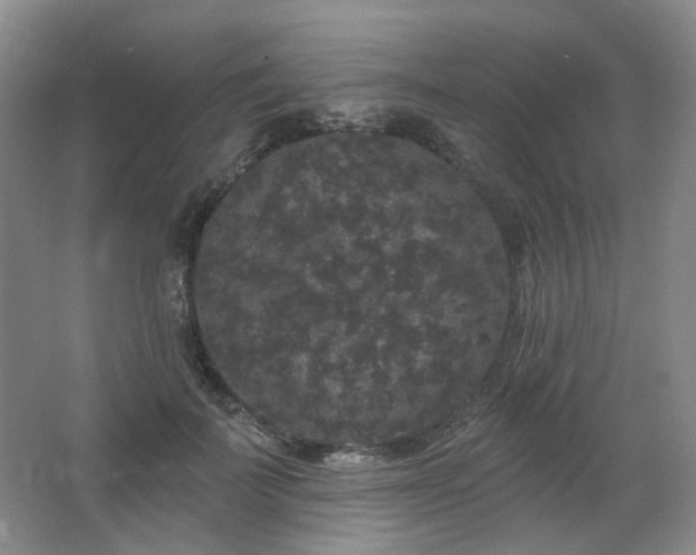 X0000064720699200602101124