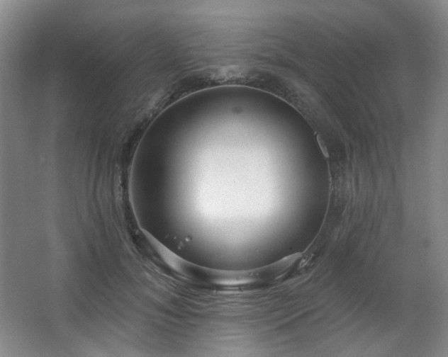 X0000064720700200602101124