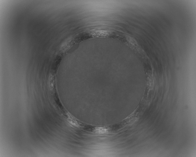 X0000064720701200602101124