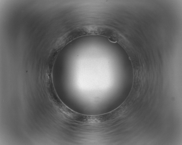 X0000064720702200602101124