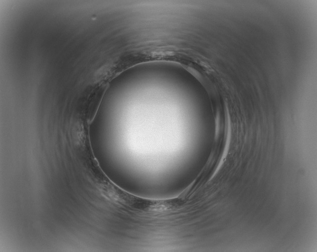 X0000064720704200602101124