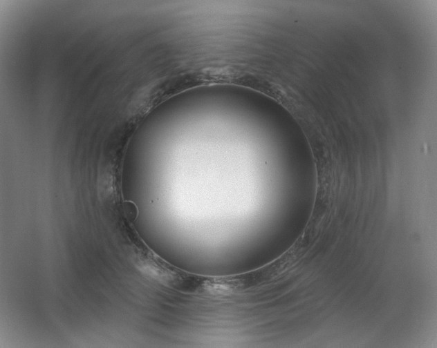 X0000064720706200602101124