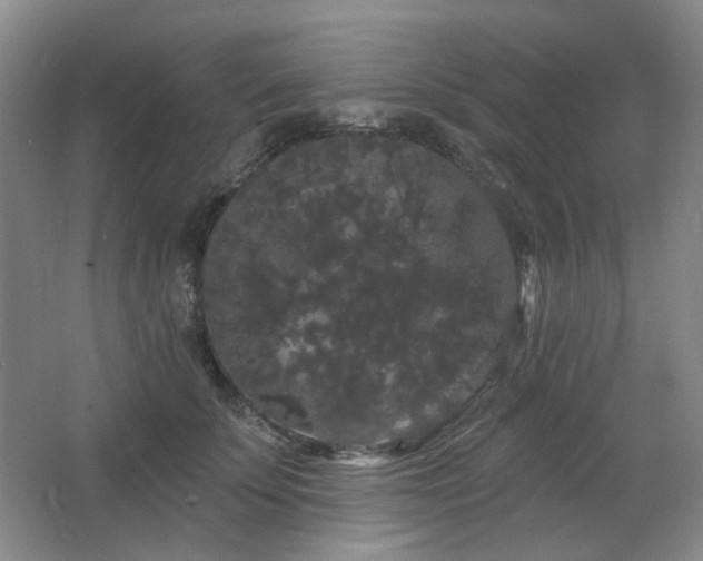 X0000064720707200602101124