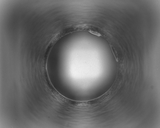 X0000064720708200602101124