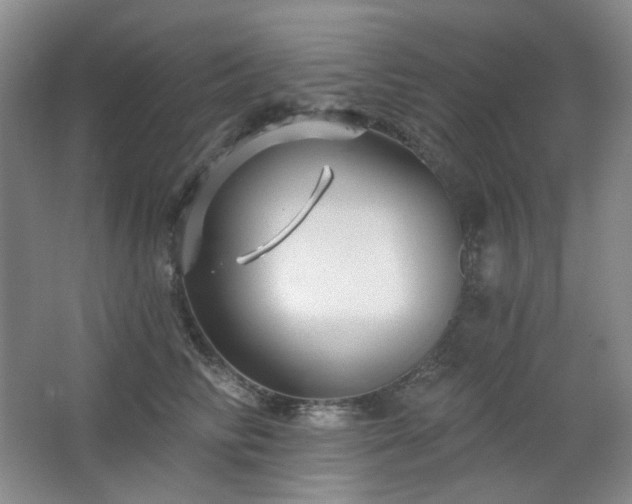 X0000064720710200602101124