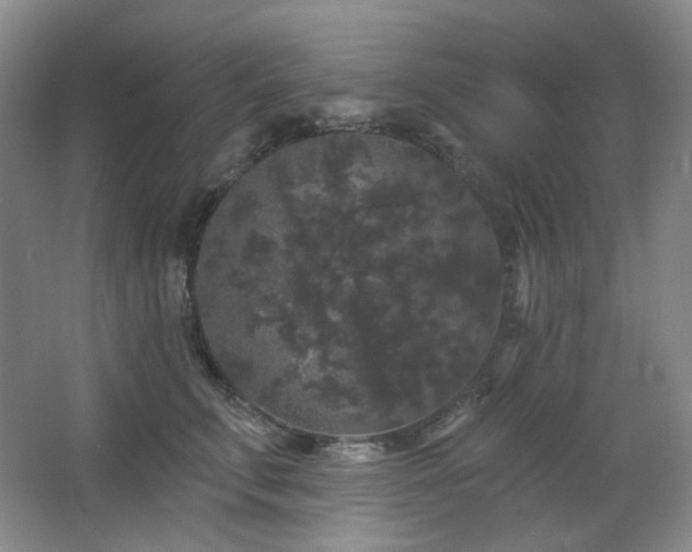 X0000064720711200602101124