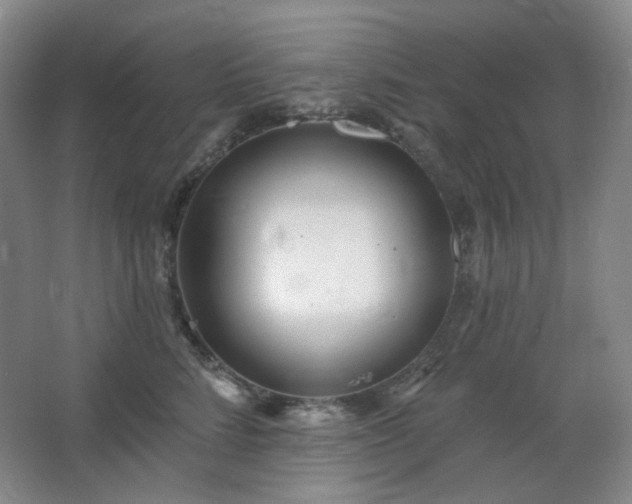 X0000064720712200602101124