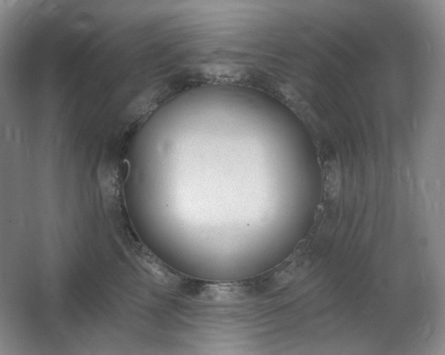 X0000064720713200602101124