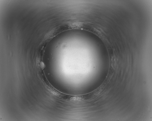 X0000064720714200602101124