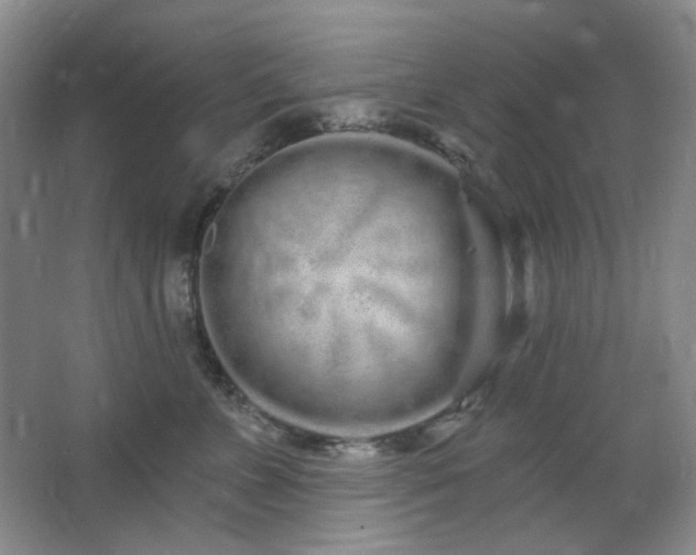 X0000064720715200602101124