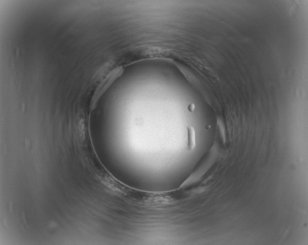 X0000064720716200602101124