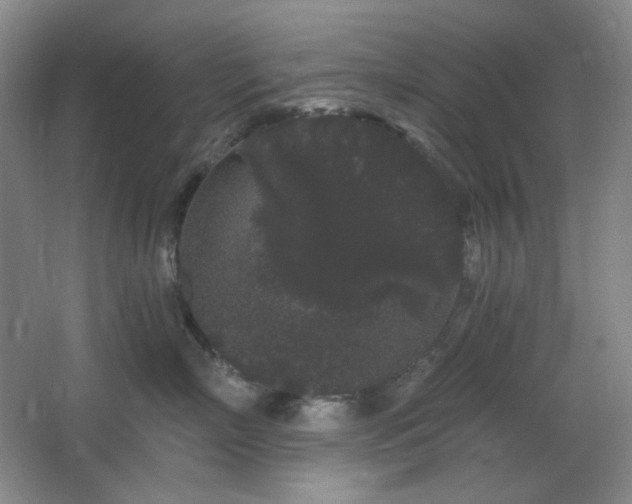 X0000064720718200602101124