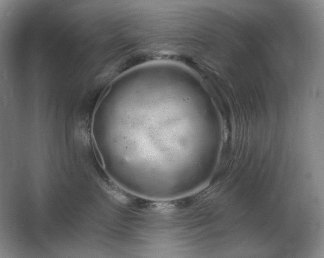 X0000064720719200602101124