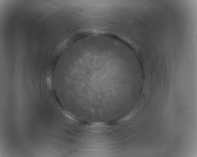 X0000064720720200602101124