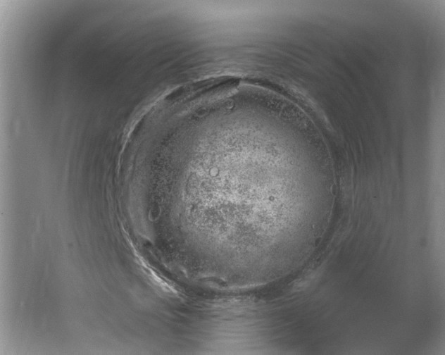 X0000064720721200602101123