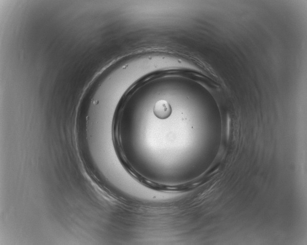 X0000064720722200602101123