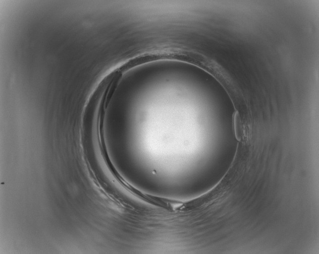 X0000064720724200602101123