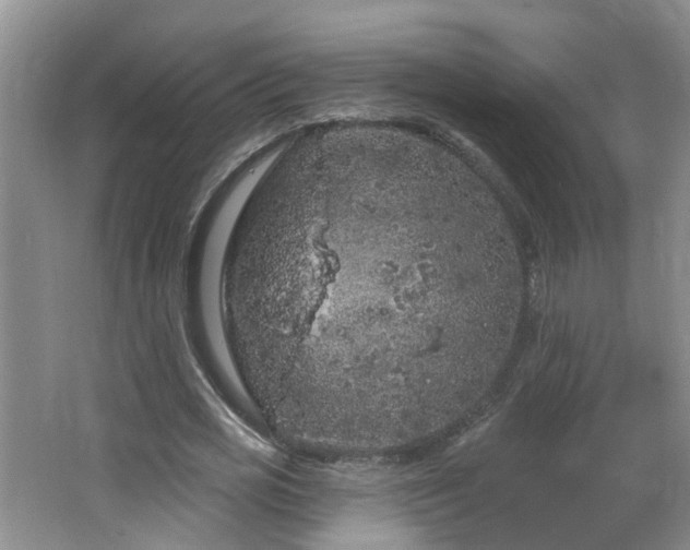 X0000064720725200602101123