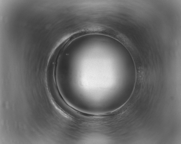 X0000064720726200602101123