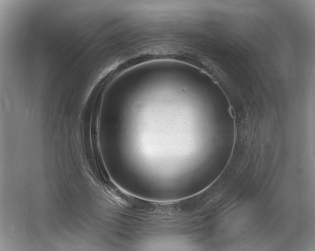 X0000064720727200602101123