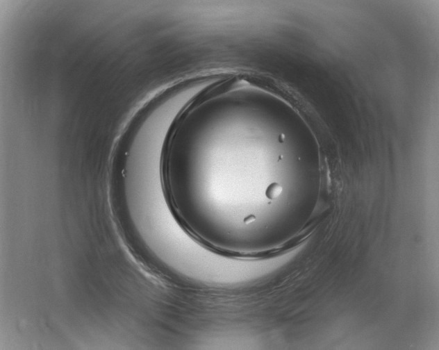 X0000064720728200602101123